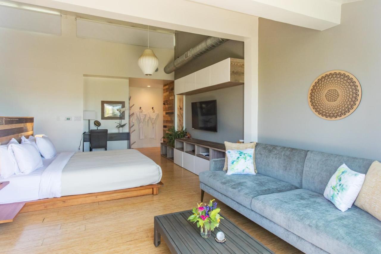 Inn At Moonlight Beach Encinitas Εξωτερικό φωτογραφία