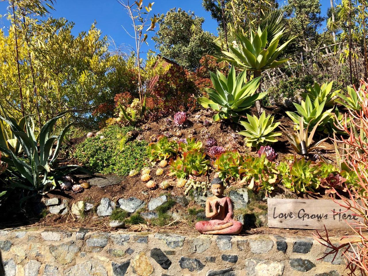 Inn At Moonlight Beach Encinitas Εξωτερικό φωτογραφία