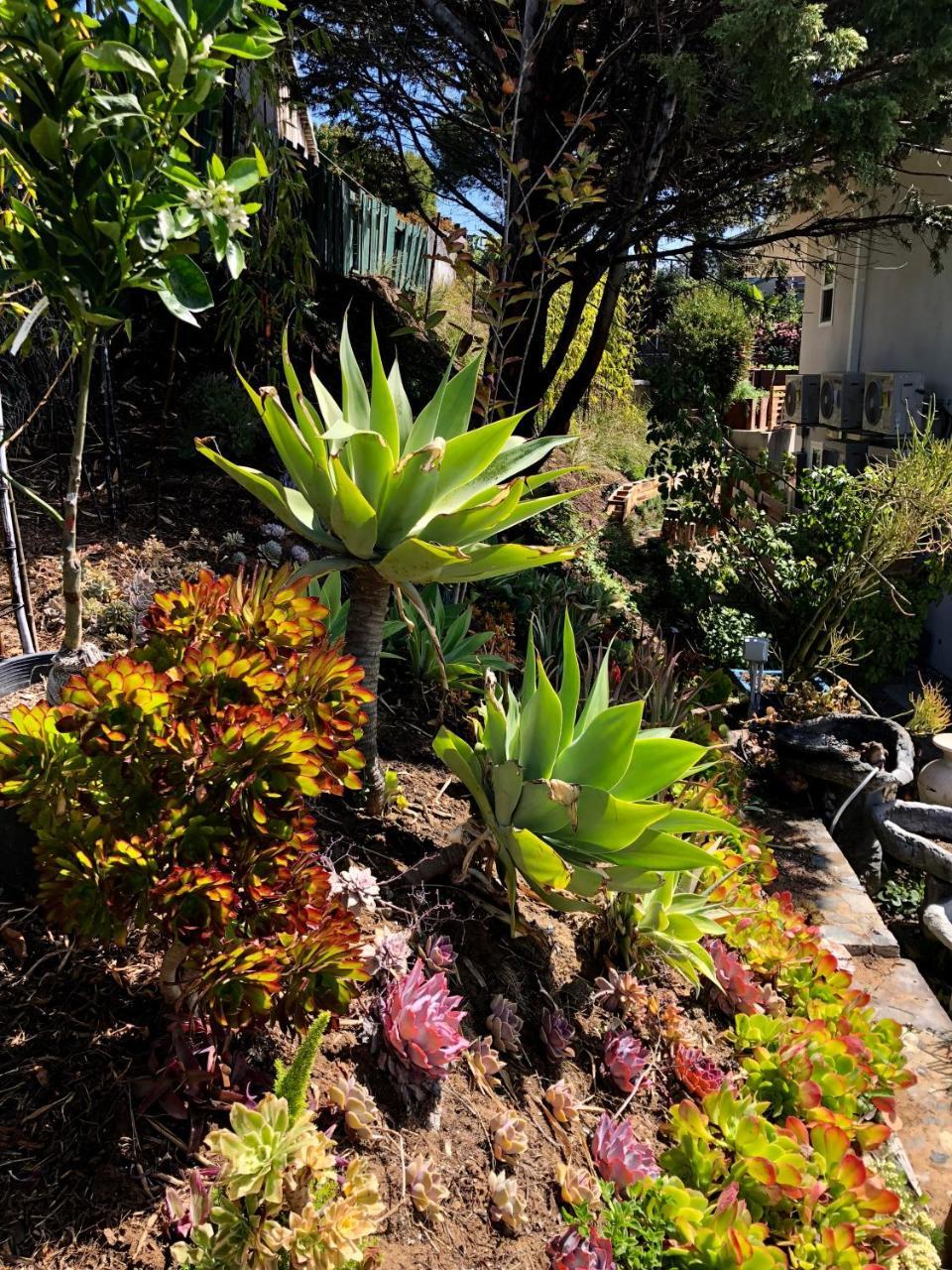 Inn At Moonlight Beach Encinitas Εξωτερικό φωτογραφία
