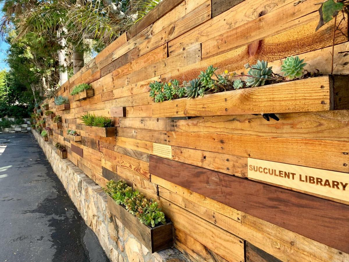 Inn At Moonlight Beach Encinitas Εξωτερικό φωτογραφία